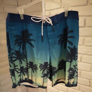 American Eagle Outfitters Men's Size Medium Palm Tree Patterned Shorts